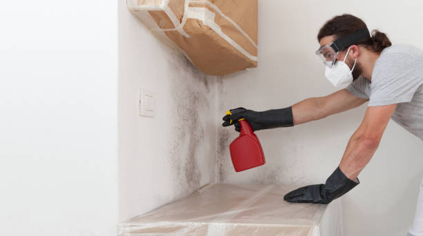 Professional Bathroom Mold Removal technician working in Norfolk, MA