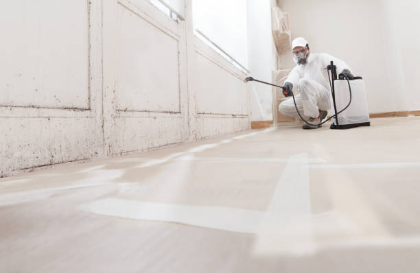 24/7 Emergency Bathroom Mold Removal experts in Norfolk, MA