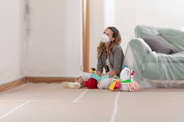 Reliable Bathroom Mold Removal contractor in Norfolk, MA by Mold Remediation HQ